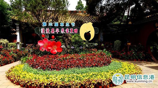 第三屆曇華寺木瓜節(jié)啟幕 500株木瓜樹(shù)觀賞采摘兩相宜