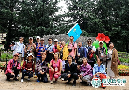 第三屆曇華寺木瓜節(jié)啟幕 500株木瓜樹(shù)觀賞采摘兩相宜