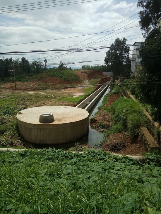 呈貢區(qū):居民共享“創(chuàng)文”成果 自覺(jué)維護(hù)轄區(qū)環(huán)境衛(wèi)生 呈貢區(qū):居民共享“創(chuàng)文”成果 自覺(jué)維護(hù)轄區(qū)環(huán)境衛(wèi)生