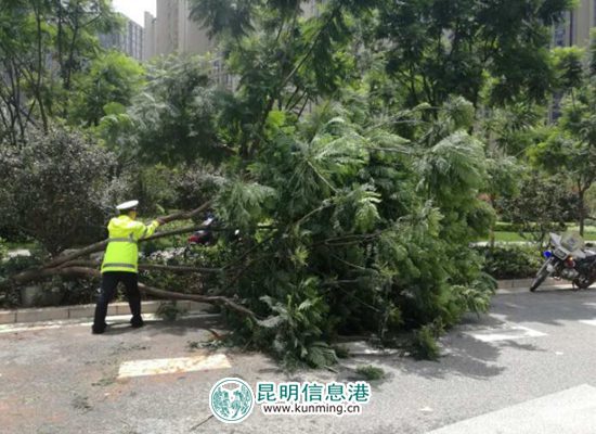 昆明暴雨救援側(cè)記:我愿做積水中的安全“浮標(biāo)” 昆明暴雨救援側(cè)記:我愿做積水中的安全“浮標(biāo)”