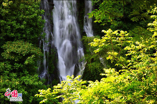 峨眉半月晝晴夜雨 密林避暑空氣一級優(yōu)