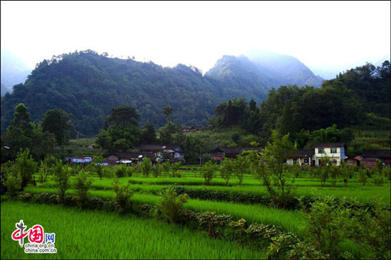 峨眉半月晝晴夜雨 密林避暑空氣一級優(yōu)