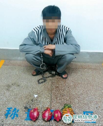 男子火龍果菠蘿內(nèi)藏毒 邊防官兵慧眼識破