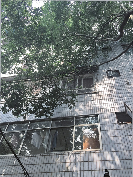 春暉小區(qū)樹(shù)枝張牙舞爪伸進(jìn)家 住戶盼綠化部門(mén)修剪 春暉小區(qū)樹(shù)枝張牙舞爪伸進(jìn)家 住戶盼綠化部門(mén)修剪