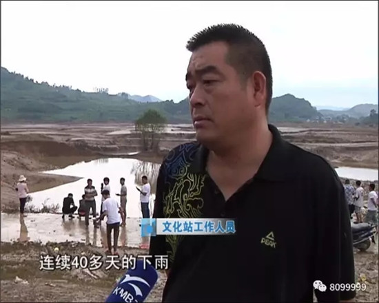 開閘泄洪后羅平一水塘現(xiàn)巨型'水怪' 目擊者視頻驚動中科院專家