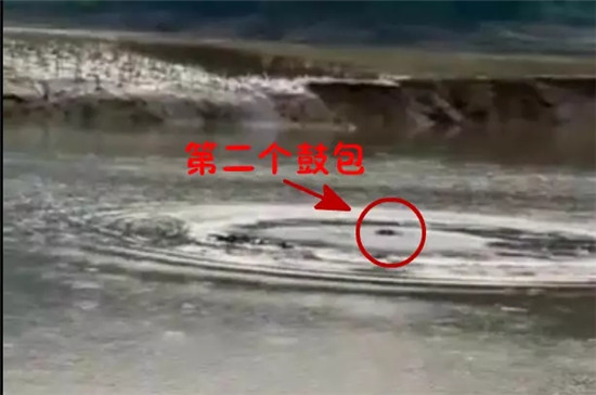 開閘泄洪后羅平一水塘現(xiàn)巨型'水怪' 目擊者視頻驚動中科院專家