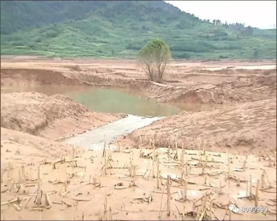 開閘泄洪后羅平一水塘現(xiàn)巨型'水怪' 目擊者視頻驚動中科院專家