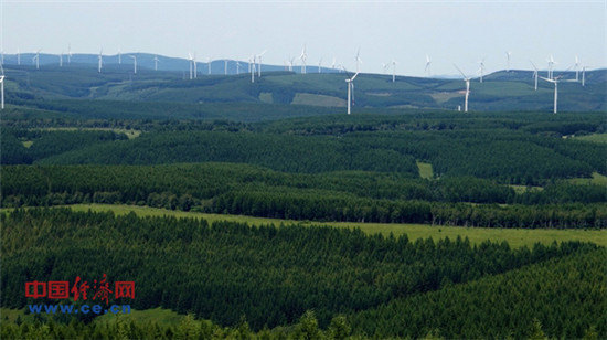 醉美塞罕壩：不采伐 深呼吸也是一種資源