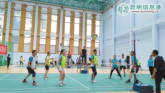 市民正在打排球鍛煉身體 市民正在打排球鍛煉身體