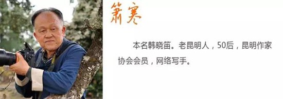 簫寒專欄:剃了個(gè)亮蛋竟也引出這么多事 簫寒專欄:剃了個(gè)亮蛋竟也引出這么多事