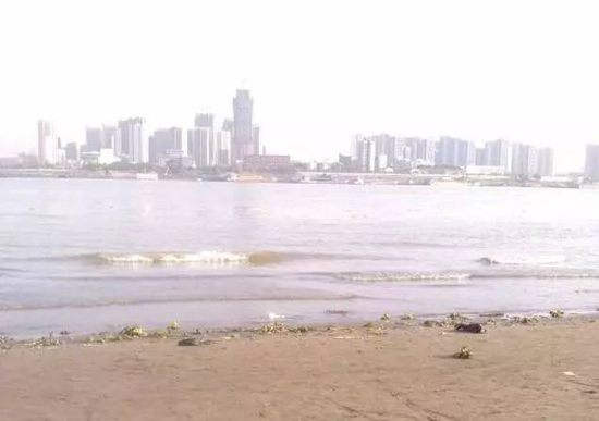 木衛(wèi)四專欄：一個(gè)異鄉(xiāng)人打車過江記