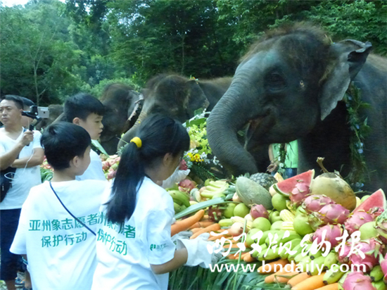 西雙版納舉辦第二屆“世界大象日公益活動(dòng)”
