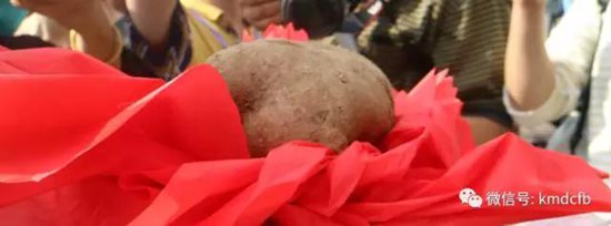 2017銅都開花洋芋節(jié)開幕 一個洋芋拍出5000元