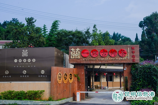 “一棵古樹(shù)茶”安寧和平山莊體驗(yàn)中心