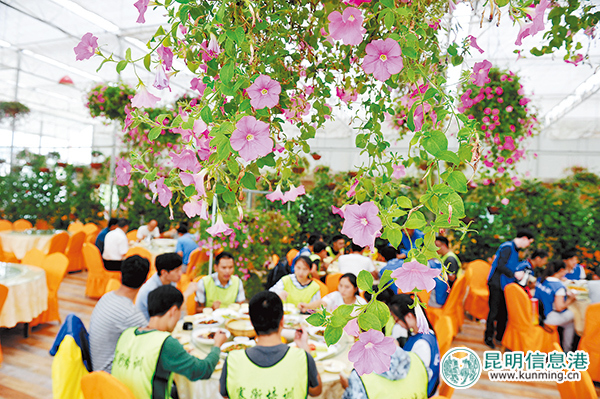 西山：“旅游+”推動全域旅游落地開花