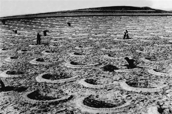 這座塞上小城 為什么得到總書(shū)記點(diǎn)贊