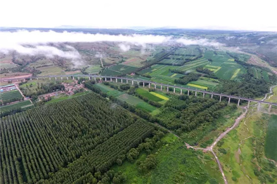 這座塞上小城 為什么得到總書(shū)記點(diǎn)贊