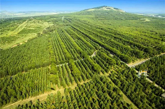 這座塞上小城 為什么得到總書(shū)記點(diǎn)贊