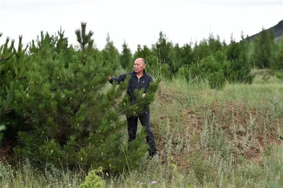 這座塞上小城 為什么得到總書(shū)記點(diǎn)贊