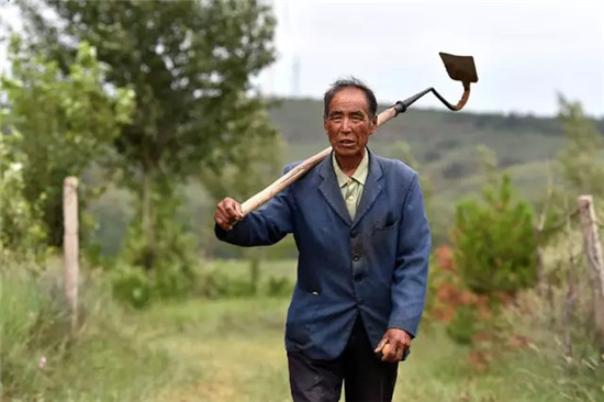 這座塞上小城 為什么得到總書(shū)記點(diǎn)贊