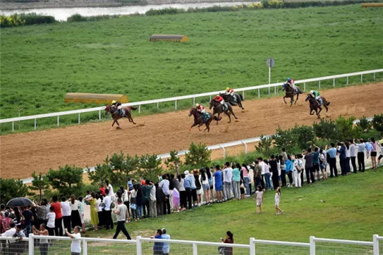 這座塞上小城 為什么得到總書(shū)記點(diǎn)贊