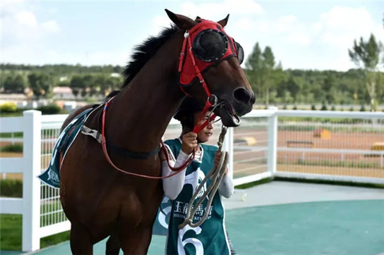 這座塞上小城 為什么得到總書(shū)記點(diǎn)贊