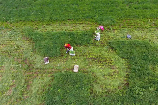 這座塞上小城 為什么得到總書(shū)記點(diǎn)贊