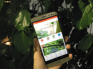 “一棵古樹茶”平臺上線運營 3年茶葉產(chǎn)量全歸認領(lǐng)人所有 “一棵古樹茶”平臺上線運營 3年茶葉產(chǎn)量全歸認領(lǐng)人所有