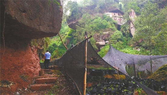 夾江明代摩崖造像10顆佛頭被盜 警方已介入