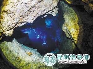 “水中大熊貓”桃花水母現(xiàn)身撫仙湖 證明水質(zhì)良好