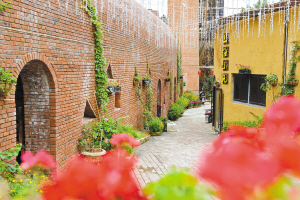 建水紫陶的創(chuàng)新與變革