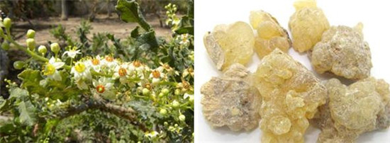 怪事有因：?；韬钅怪械那昶嫦銖暮味鴣? align=