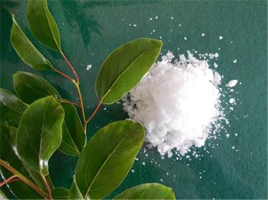 怪事有因：?；韬钅怪械那昶嫦銖暮味鴣? align=