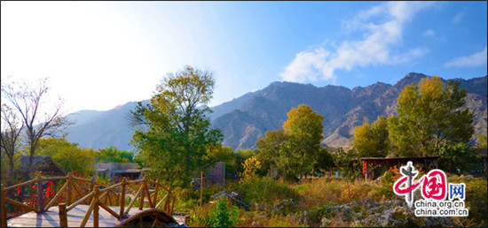 賀蘭山巖畫(huà)：體驗(yàn)游牧民族的藝術(shù)畫(huà)廊之美