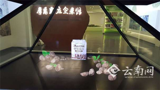 摩爾農(nóng)莊科技創(chuàng)新延伸產(chǎn)業(yè)鏈 小核桃做成大產(chǎn)業(yè)