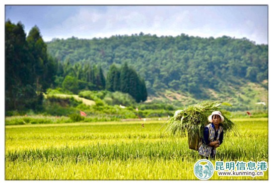 9月23日至10月8日尋甸舉辦“摸魚節(jié)”暨“民族美食節(jié)”