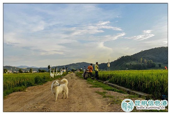 9月23日至10月8日尋甸舉辦“摸魚節(jié)”暨“民族美食節(jié)”