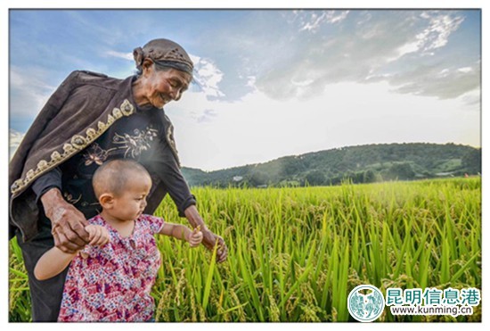 9月23日至10月8日尋甸舉辦“摸魚節(jié)”暨“民族美食節(jié)”