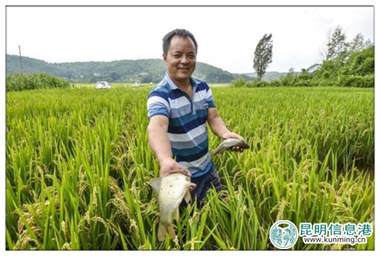 9月23日至10月8日尋甸舉辦“摸魚節(jié)”暨“民族美食節(jié)”