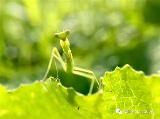 “改革在身邊”手機(jī)攝影大賽第二期周獎(jiǎng)揭曉