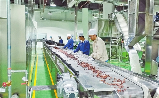 云南能投集團(tuán)五年發(fā)展資產(chǎn)過千億 位列中國企業(yè)500強(qiáng)第250位