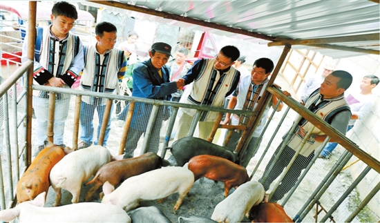 云南能投集團(tuán)五年發(fā)展資產(chǎn)過千億 位列中國企業(yè)500強(qiáng)第250位