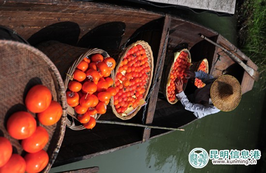 西溪濕地·洪園: 一曲溪流一曲煙 西溪濕地·洪園: 一曲溪流一曲煙