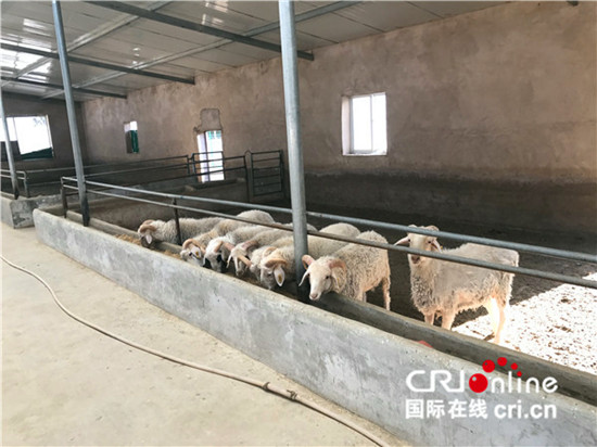 馬達(dá)五德的養(yǎng)殖場(chǎng)