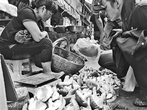 野生菌進(jìn)入落潮期 雞樅價(jià)格跳水最貴180元/公斤 野生菌進(jìn)入落潮期 雞樅價(jià)格跳水最貴180元/公斤