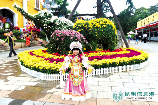 看花賞楓葉與萌寵互動 昆明各大公園豐富活動等你來 看花賞楓葉與萌寵互動 昆明各大公園豐富活動等你來