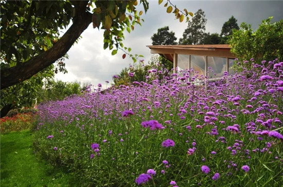 一丘田秋木箐寶珠梨莊園 可草坪燒烤摘果賞花 一丘田秋木箐寶珠梨莊園 可草坪燒烤摘果賞花