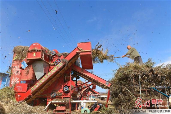 寒露至，農(nóng)事忙