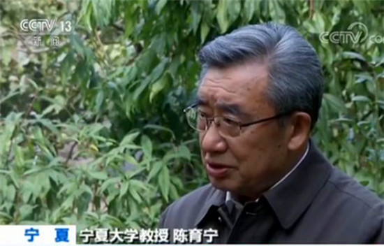 寧夏大學教授陳育寧 寧夏大學教授陳育寧