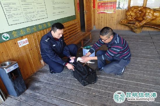 加大愛鷗護鷗宣傳